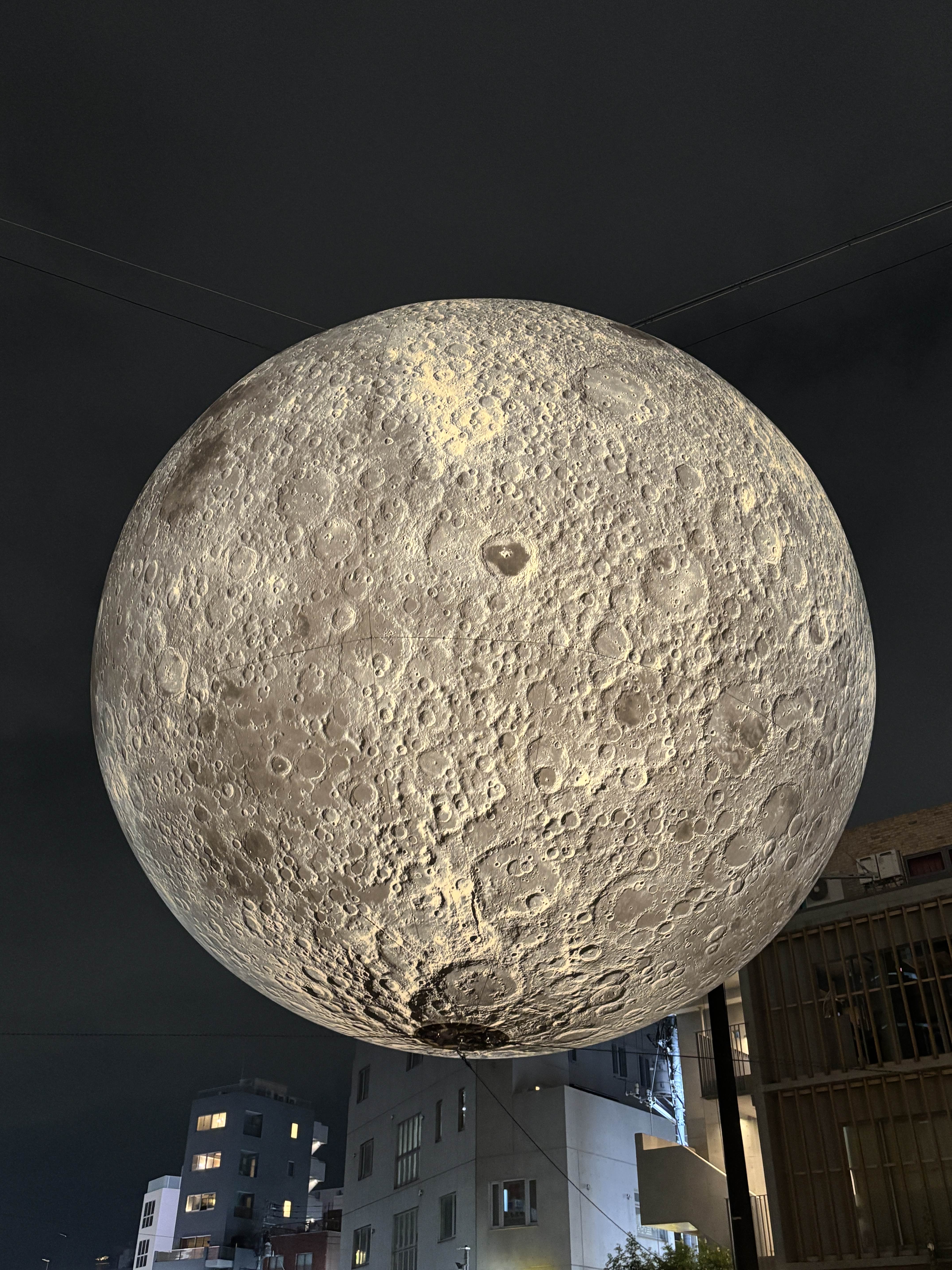 流石にデカすぎる