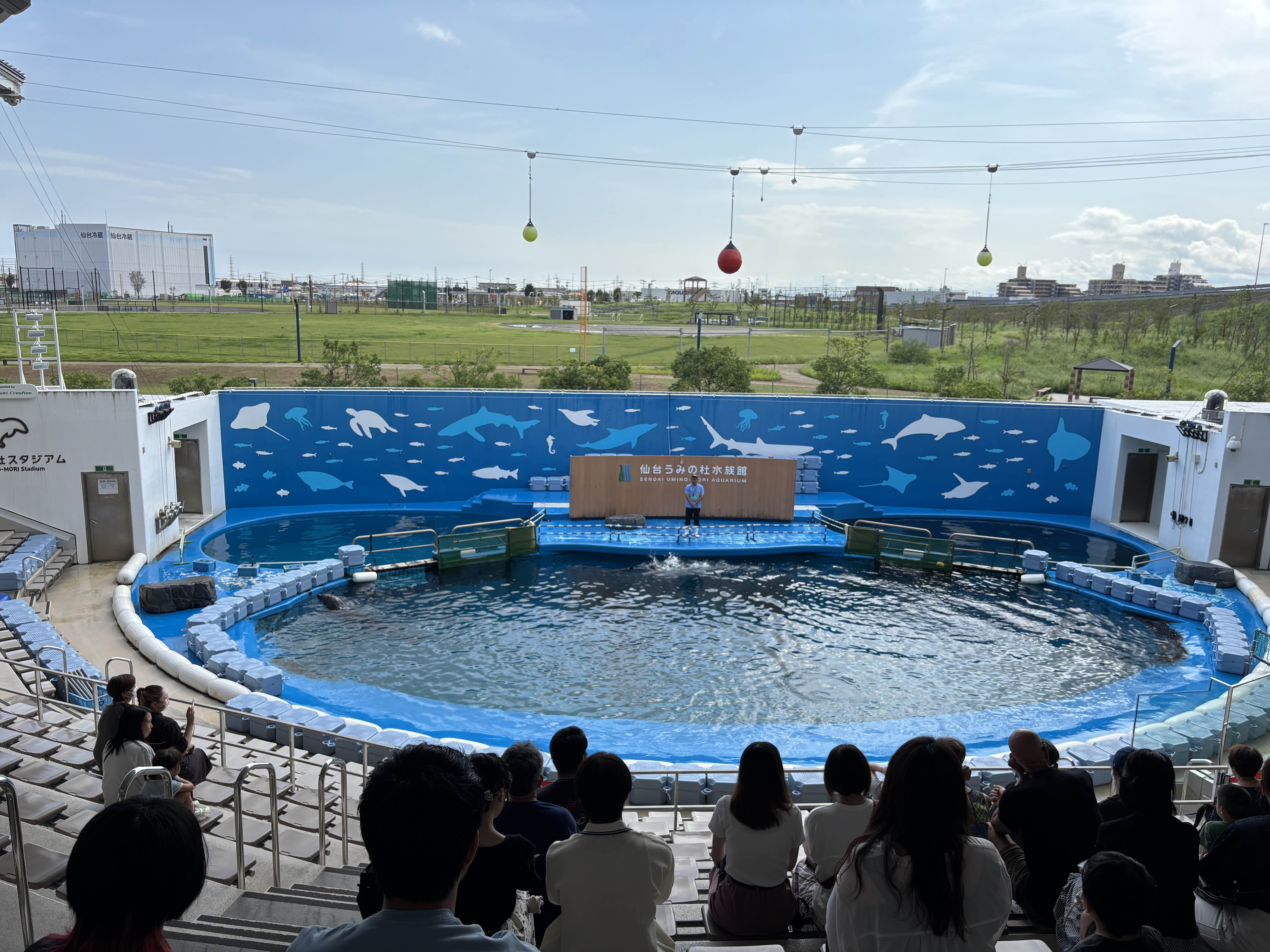 無料で予約もいらないショー、すごかった