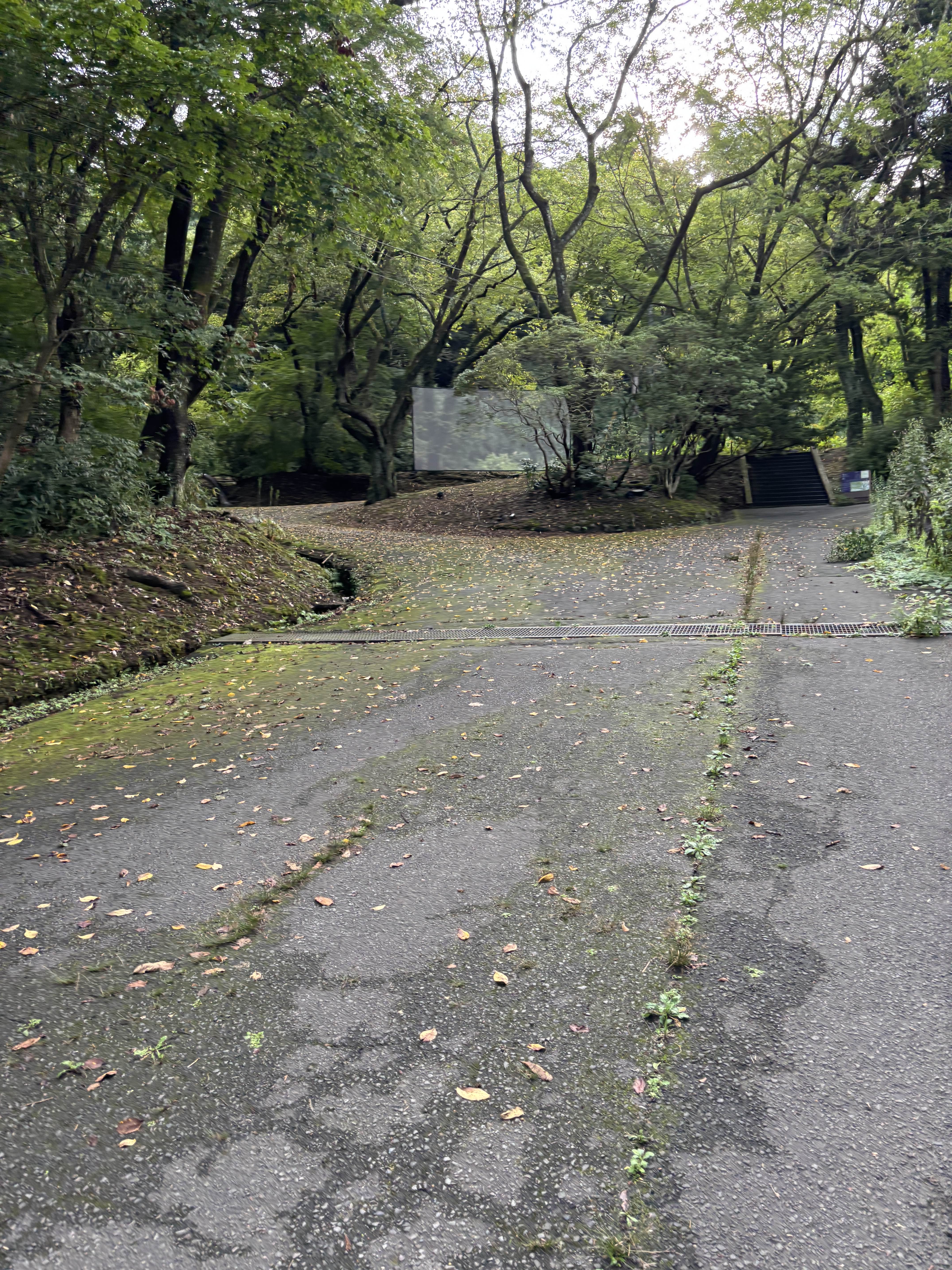 思ったよりも傾斜がきつかった;;